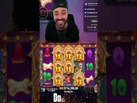 Roshtein Mega Win on Dog House Slot