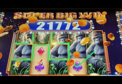 QUEEN OF THE WILD SLOT! THE GREAT CHASE!!! SUPER BIG WIN