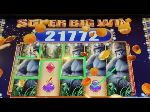 QUEEN OF THE WILD SLOT! THE GREAT CHASE!!! SUPER BIG WIN