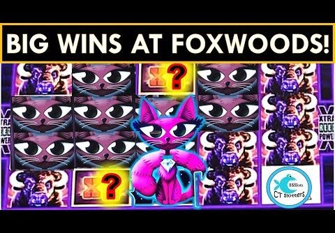 FOXWOODS FUN! BIG WIN BONUSES (over 100x!) on MISS KITTY &  BUFFALO SLOT MACHINES