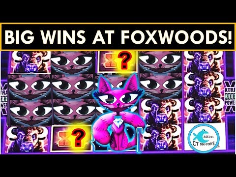 FOXWOODS FUN! BIG WIN BONUSES (over 100x!) on MISS KITTY &  BUFFALO SLOT MACHINES