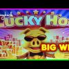 Even I WAS SHOCKED at this Big Win on Lucky Hog Slots!