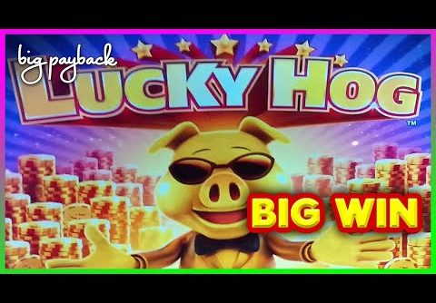 Even I WAS SHOCKED at this Big Win on Lucky Hog Slots!