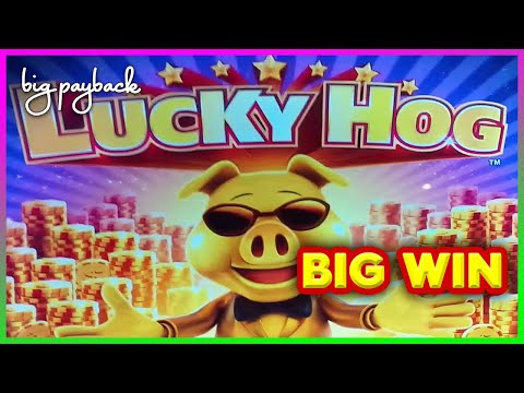 Even I WAS SHOCKED at this Big Win on Lucky Hog Slots!