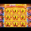 INSANE 2000X BIGGEST DOG HOUSE WIN! (EXTREME)