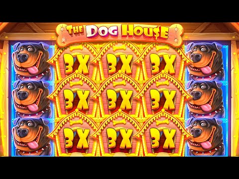 INSANE 2000X BIGGEST DOG HOUSE WIN! (EXTREME)