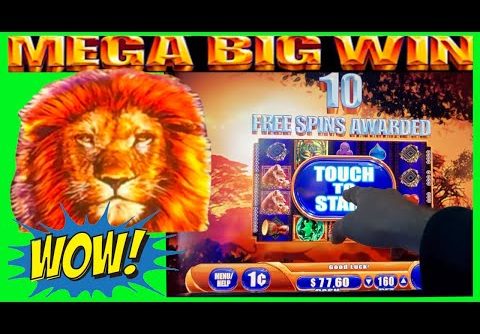 **MEGA BIG WIN!** I LOVE LIONS! King of Africa WMS Slot Machine Bonus