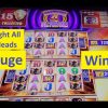 Huge Win! Caught all 15 Heads! Buffalo Gold Tall Fortunes