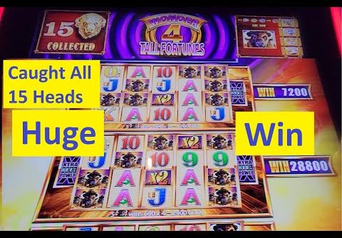 Huge Win! Caught all 15 Heads! Buffalo Gold Tall Fortunes