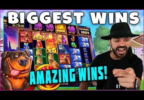 BIGGEST WINS FROM 1000X. Amazing Hit on Buffalo slot. Biggest wins of the week