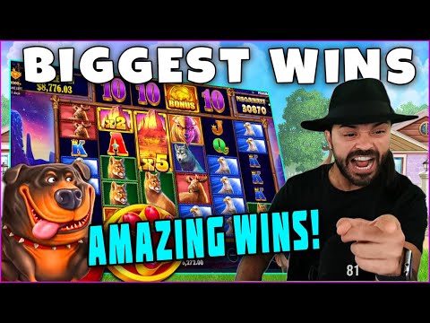 BIGGEST WINS FROM 1000X. Amazing Hit on Buffalo slot. Biggest wins of the week