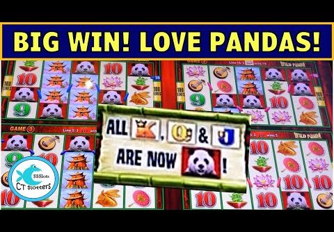 WILD PANDA SLOT MACHINE FINALLY GAVE ME A BIG WIN @ MGM SPRINGFIELD!!! HOPE THEY OPEN SOON! :)