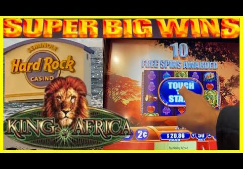 **SUPER BIG WINS!** OMG! LIONS IN FLORIDA! King of Africa Slot Machine Bonus