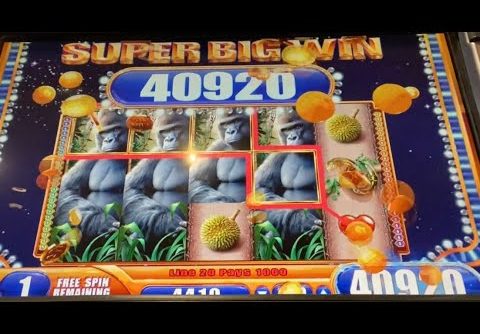 QUEEN OF THE WILD SLOT! THE GREAT CHASE: SUPER AFTER SUPER!!! MULTIPLE SUPER BIG WINS