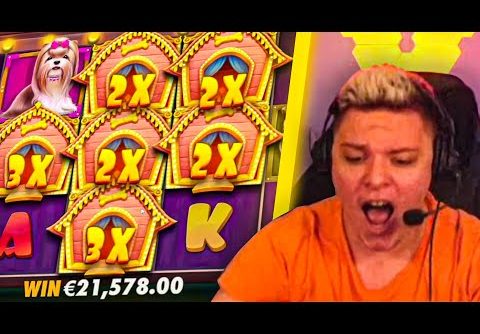 DOG HOUSE 22.000€ BIG WIN POUR MON DERNIER LIVE CASINO SUR TWITCH 😵