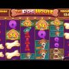 THE DOG HOUSE MEGAWAYS – HIT MANY BONES – BIG WINS BONUS BUY SLOT ONLINE CASINO GAME