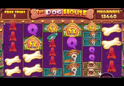 THE DOG HOUSE MEGAWAYS – HIT MANY BONES – BIG WINS BONUS BUY SLOT ONLINE CASINO GAME