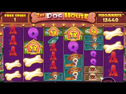 THE DOG HOUSE MEGAWAYS – HIT MANY BONES – BIG WINS BONUS BUY SLOT ONLINE CASINO GAME