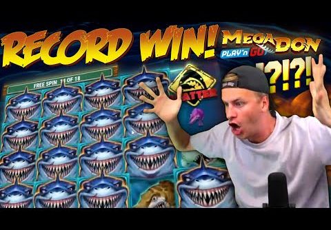 RECORD WIN on Mega Don Slot! 🦈 (Insane Personal Best)