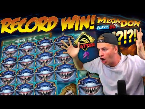 RECORD WIN on Mega Don Slot! 🦈 (Insane Personal Best)