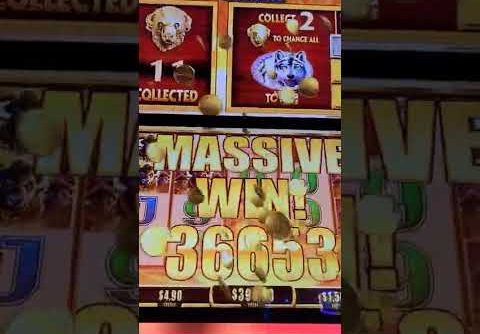 Nate B Vultures David’s Machine!! Oops sorry…NOT sorry!! BIG WIN!! 🤑🤑🤑 #ballys #shorts #slot