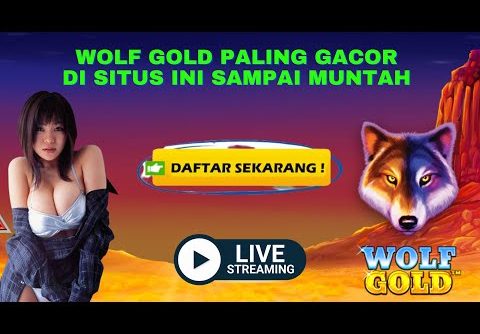 LIVE WOLF GOLD BIG WIN SLOT GACOR HARI INI