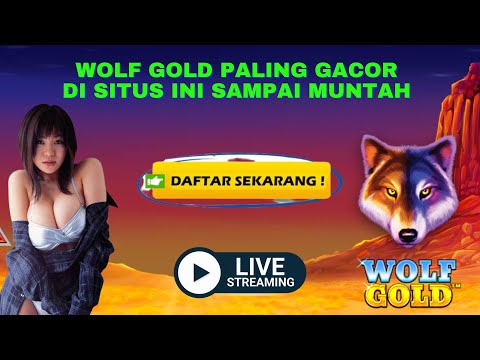 LIVE WOLF GOLD BIG WIN SLOT GACOR HARI INI