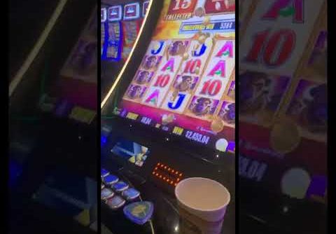 MASSIVE JACKPOT! * MY BIGGEST WIN $$BUFFALO GOLD | Slot $$$$#Toronto @Pickering Casino Resort