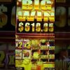 Wild Wild Buffalo Slot: Big Win on Free Games! #Shorts