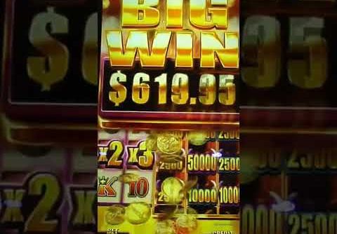 Wild Wild Buffalo Slot: Big Win on Free Games! #Shorts