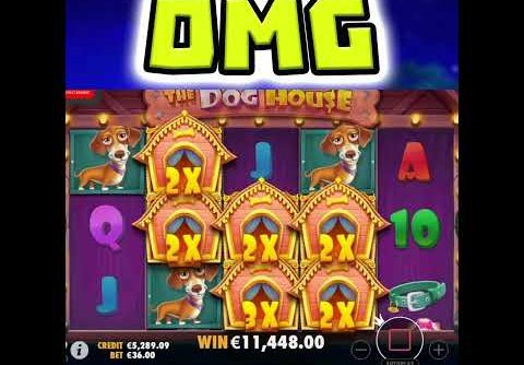 THE DOG HOUSE 🐶 SLOT MEGA BIG WIN WITH STICKY WILDS‼️ #shorts