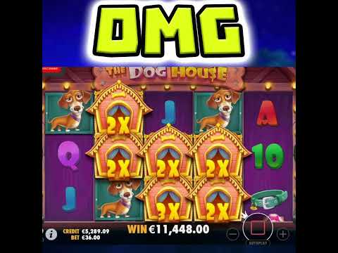 THE DOG HOUSE 🐶 SLOT MEGA BIG WIN WITH STICKY WILDS‼️ #shorts