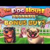 *BONUS BUYS* DOG HOUSE MEGAWAYS – CAN WE GET A BIG WIN?🎰🎰