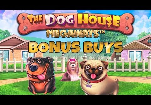 *BONUS BUYS* DOG HOUSE MEGAWAYS – CAN WE GET A BIG WIN?🎰🎰