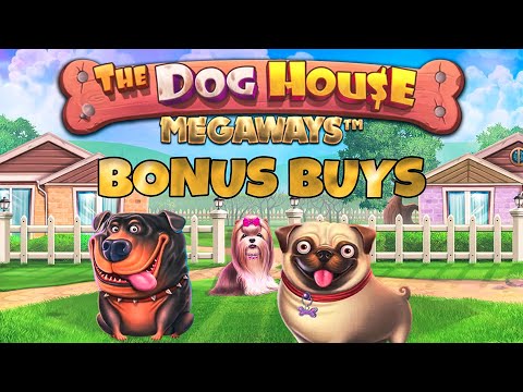 *BONUS BUYS* DOG HOUSE MEGAWAYS – CAN WE GET A BIG WIN?🎰🎰
