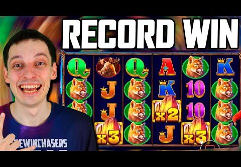 BUFFALO KING RECORD WIN 🔥 Community Slots Biggest Wins