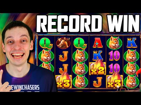 BUFFALO KING RECORD WIN 🔥 Community Slots Biggest Wins