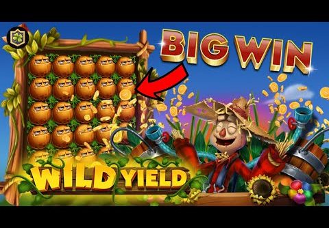 BIG WIN NEW ONLINE SLOT 🔥 WILD YIELD 🔥 RELAX GAMING – ALL FEATURES