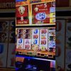 Buffalo Gold Slot BIG WIN