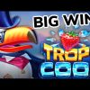 🍓Tropicool 🍏 BIG WIN 🍋 ELK Studio’s Slot 🥥 Corneyslots Big Win