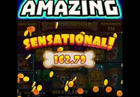 THE DOG HOUSE MEGAWAYS 🔥 SLOT STICKY WILDS 😱 MEGA BIG WIN OMG SO MANY MULTIPLIERS‼️ #shorts