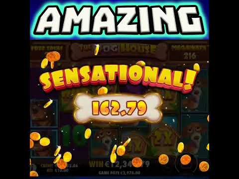 THE DOG HOUSE MEGAWAYS 🔥 SLOT STICKY WILDS 😱 MEGA BIG WIN OMG SO MANY MULTIPLIERS‼️ #shorts