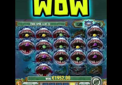 Megadon Slot Massive Jackpot 🔥 Win Omg Best Free Spin Bonus Ever‼️ #shorts