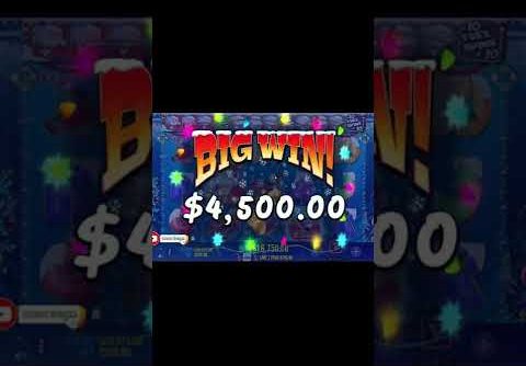 Christmas Big Bass Bonanza 🐟 Multiplier x1 Big Win Casino Online Slot
