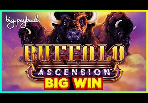 MY BIGGEST WIN on Buffalo Ascension Slot!