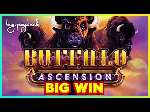 MY BIGGEST WIN on Buffalo Ascension Slot!