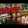 SLOT OYUNLARI 🦍 GORILLA MAYHEM BIG WIN 🦍 KOYARIM AFFETMEM 🎁 #slot #slotoyunları #casino