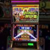 Mega big win jungle wild 3 slot