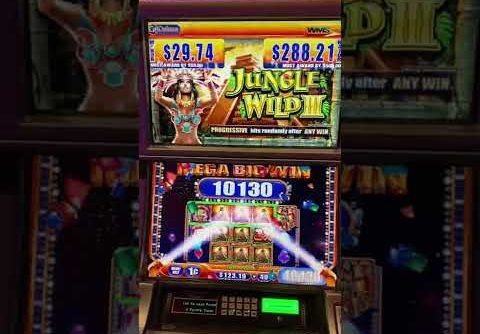 Mega big win jungle wild 3 slot