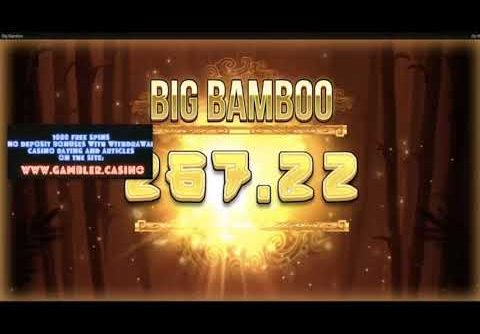 Record big win at online casino x50000 in the slot on the Big Bamboo bonus game